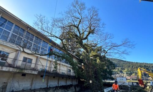 LINE_ALBUM_上野工業　八代市坂本町_230311_18